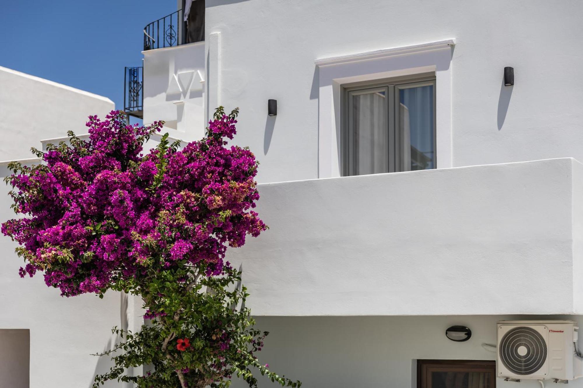 George'S Apartments Naxos City Ngoại thất bức ảnh